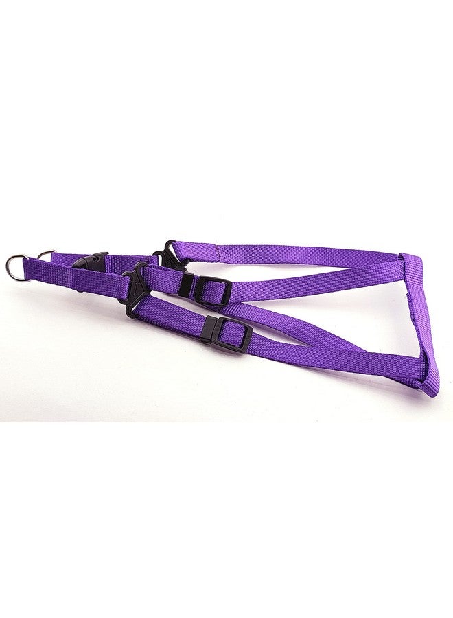 15 Mm Nylon Leash With Harness 0.5 Inch Adjustable Nylon Harness Set Ideal For Small Breed Dog & Puppies - Purple - Image 4
