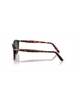 Persol Po3092sm Steve McQueen Round Sunglasses, Havana/Green, 52 mm  - Image 2