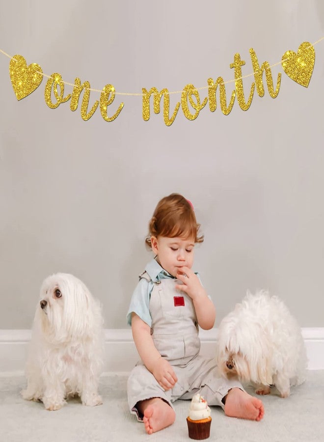 INNORU One Month Banner, Baby Shower Party Decorations, Newborn Sign Banner, New Baby - Gender Reveal - Happy 30 Days Party Decorations, Gold Glitter - Image 3