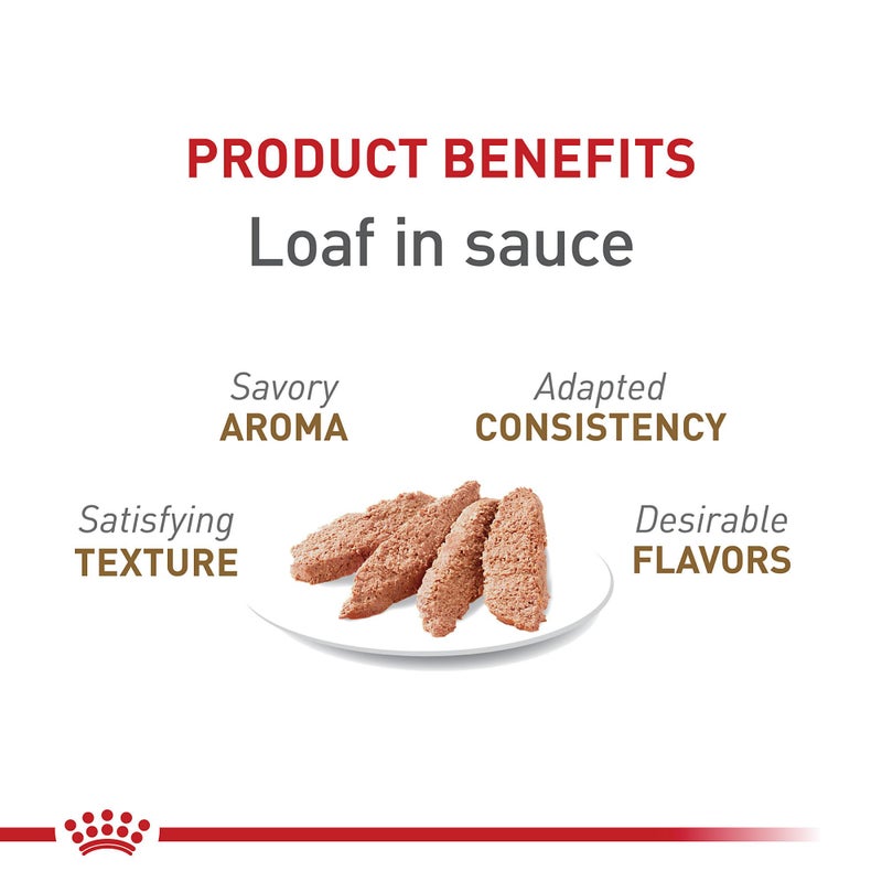 Royal Canin Feline Health Nutrition Aging 12+ Senior Loaf in Sauce Cat Food, 5.1 oz (Pack of 24) - Image 2