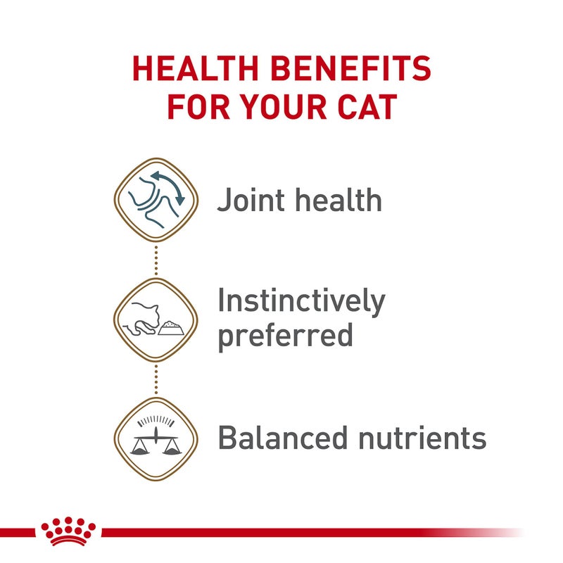 Royal Canin Feline Health Nutrition Aging 12+ Senior Loaf in Sauce Cat Food, 5.1 oz (Pack of 24) - Image 3