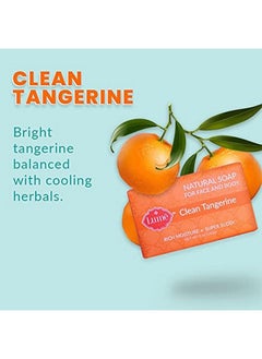 Lume Natural Soap For Face And Body Free From Parabens Phthalates And Artificial Dyes Hypoallergenic And Safe For Sensitive Skin Single Bar (Clean Tangerine)  - Image 3