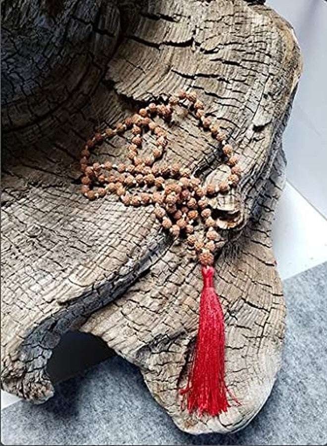 مسبحة رودراكشا طبيعية معتمدة من Certified Gems، مقاس 5-8 مم، 108 حبة + حبة إضافية، أصلية ومعتمدة - Image 2