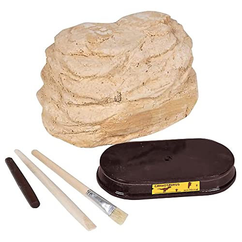 ArtCreativity مجموعة حفر الديناصورات من آرت كرييتيفيتي للأطفال - مجموعة حفر جمجمة الكارنتوروس مع أدوات حفر الف fossils ووقوف - لعبة تعليمية ممتعة للأطفال الأولاد والبنات - Image 5