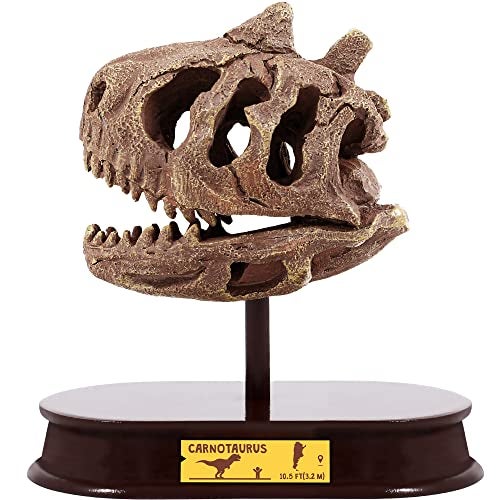 ArtCreativity مجموعة حفر الديناصورات من آرت كرييتيفيتي للأطفال - مجموعة حفر جمجمة الكارنتوروس مع أدوات حفر الف fossils ووقوف - لعبة تعليمية ممتعة للأطفال الأولاد والبنات - Image 1