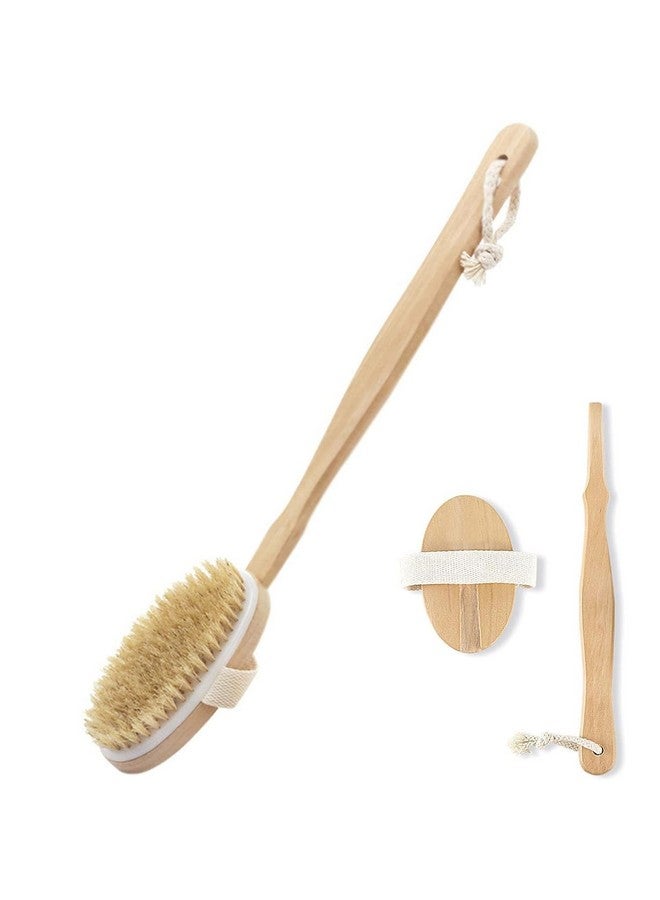 STORE77® Shower Brush with Long Handle, Back Scrubber for Shower Wooden Long Handle for Skin Exfoliating 2 in 1 Wet Dry Stiff Natural Bristles Bath Brush - Image 1