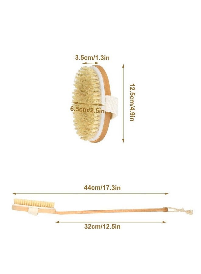 STORE77® Shower Brush with Long Handle, Back Scrubber for Shower Wooden Long Handle for Skin Exfoliating 2 in 1 Wet Dry Stiff Natural Bristles Bath Brush - Image 5