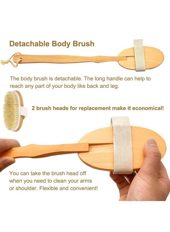 STORE77® Shower Brush with Long Handle, Back Scrubber for Shower Wooden Long Handle for Skin Exfoliating 2 in 1 Wet Dry Stiff Natural Bristles Bath Brush - Image 2