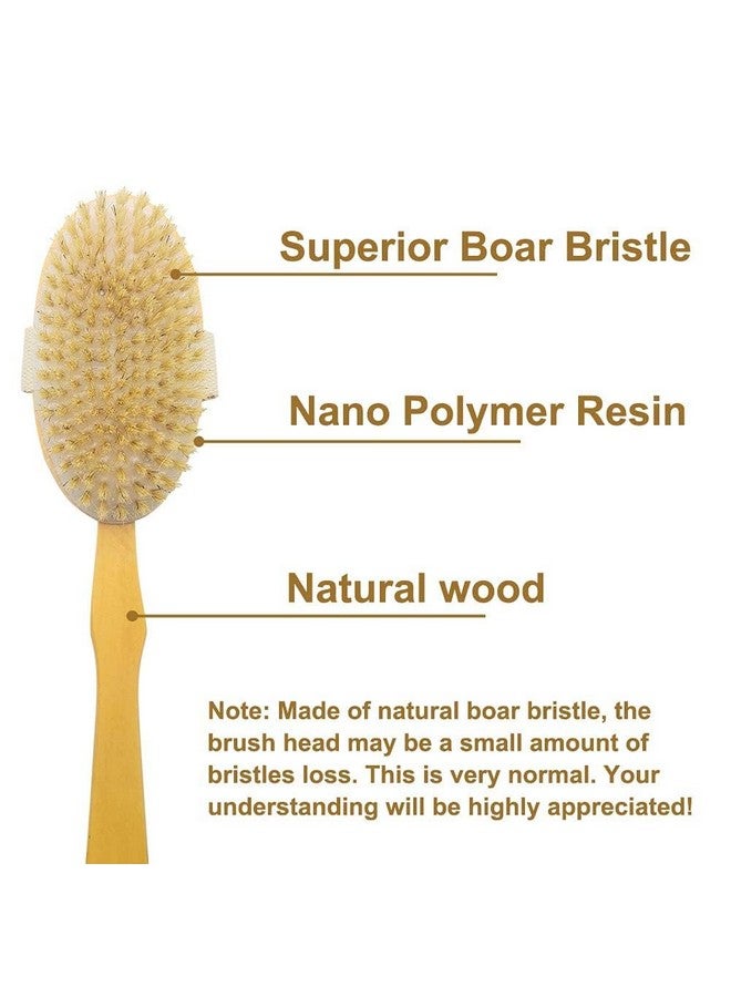 STORE77® Shower Brush with Long Handle, Back Scrubber for Shower Wooden Long Handle for Skin Exfoliating 2 in 1 Wet Dry Stiff Natural Bristles Bath Brush - Image 3