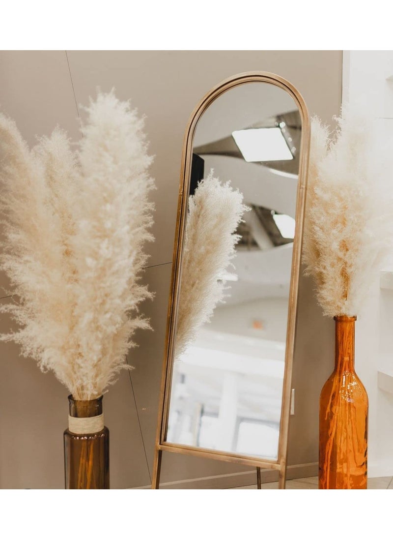EKAM DECOR 10pieces White Natural Dried Pampas Grass for Decoration of Homes Offices Parties Weddings etc 