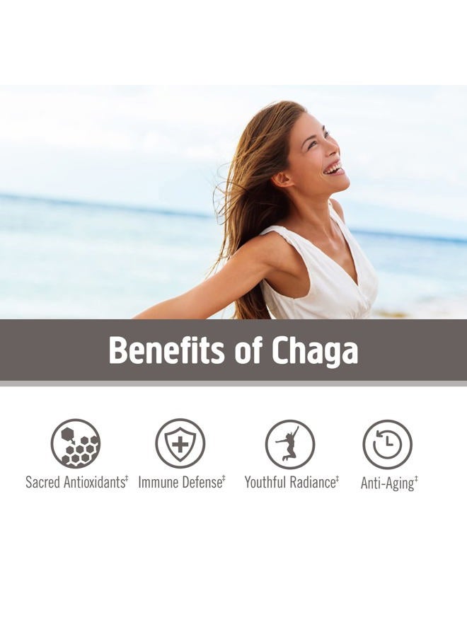 Om Mushroom Superfood Chaga Organic Mushroom Powder, 7.05 Ounce Pouch, 100 Servings, US Grown, Sacred Antioxidants & Immune Support, Superfood Mushroom Supplement - Image 5