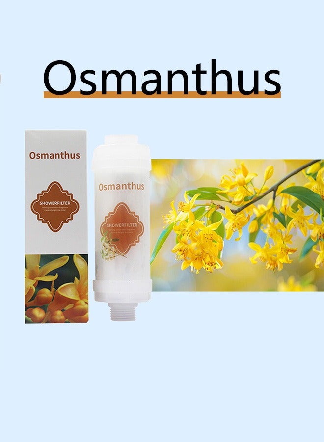 itamin Scented Beads shower Fliter, Anti Hair Loss, Prevents Dry Skin, Chlorine Removal, Rust Removal, Relaxing Aromatherapy, Non-Toxic (Osmanthus scent),100g  - Image 1