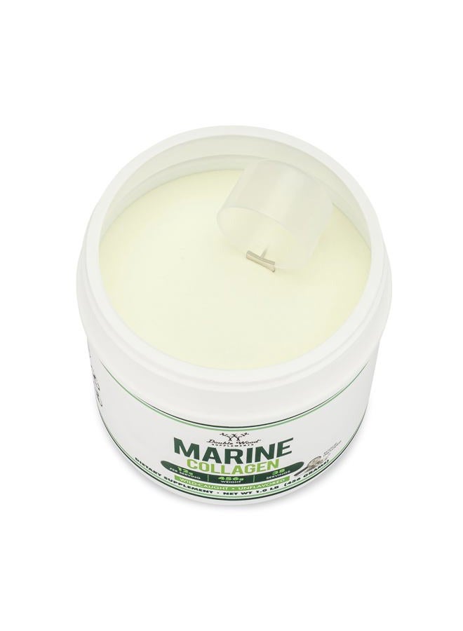 Double Wood Supplements Marine Collagen Powder (1 LB / 16 OZ of Quick Dissolve Marine Collagen Peptides) Wildcaught, Unflavored, Micronized - Scoop Included, No Fillers (38 Servings of 12 Grams Each) - Image 2