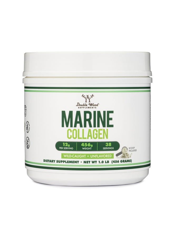 Double Wood Supplements Marine Collagen Powder (1 LB / 16 OZ of Quick Dissolve Marine Collagen Peptides) Wildcaught, Unflavored, Micronized - Scoop Included, No Fillers (38 Servings of 12 Grams Each) - Image 5