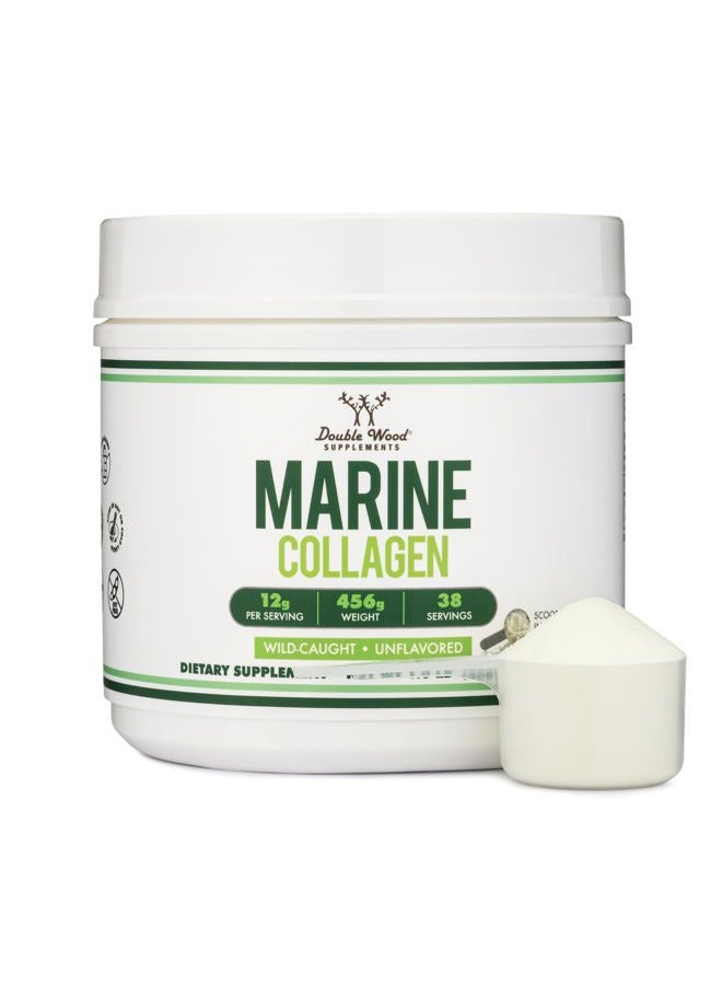 Double Wood Supplements Marine Collagen Powder (1 LB / 16 OZ of Quick Dissolve Marine Collagen Peptides) Wildcaught, Unflavored, Micronized - Scoop Included, No Fillers (38 Servings of 12 Grams Each) - Image 1
