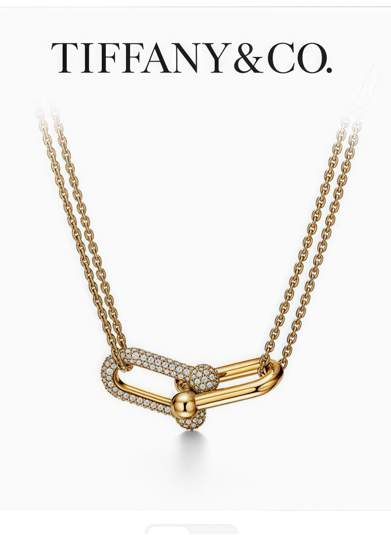 Tiffany & Co. - Tiffany HardWear large double link necklace - Image 1
