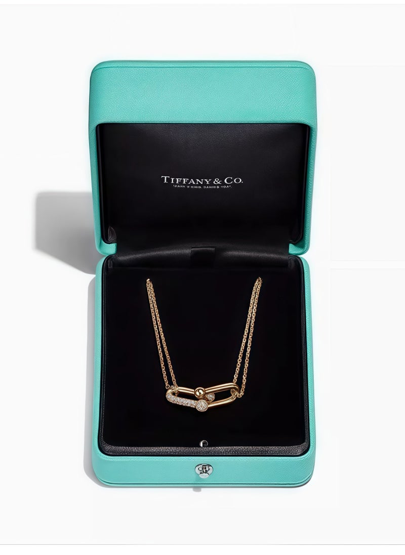 Tiffany & Co. - Tiffany HardWear large double link necklace - Image 1