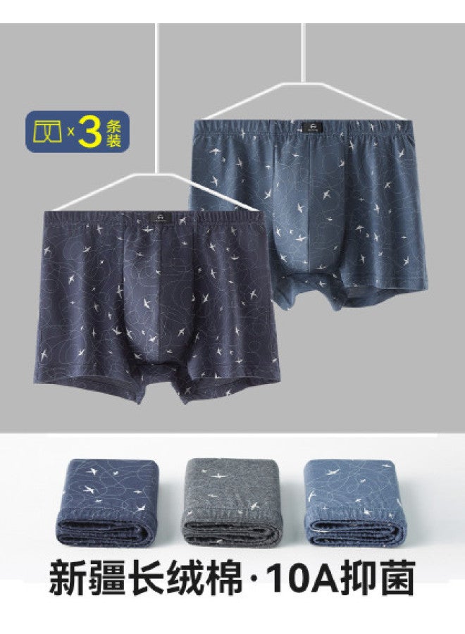 Fenton 100% Cotton  Middle-aged And Elderly Men's Wide Briefs Pure Cotton Spring/summer 25 - Image 1