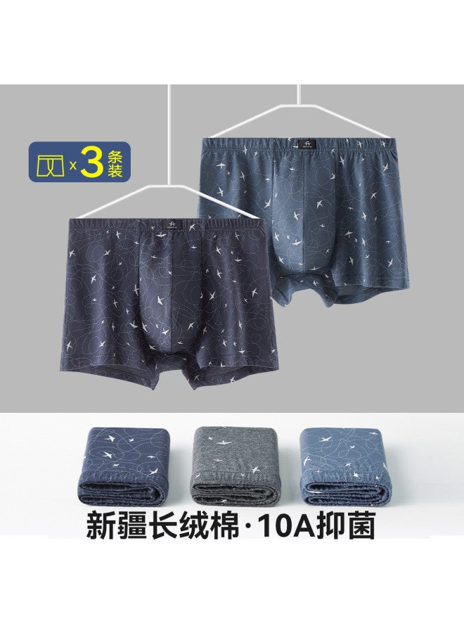 Fenton 100% Cotton  Middle-aged And Elderly Men's Wide Briefs Pure Cotton Spring/summer 25 - Image 2