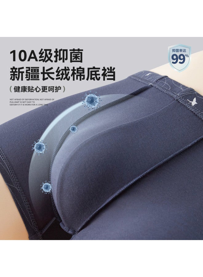 Fenton 100% Cotton  Middle-aged And Elderly Men's Wide Briefs Pure Cotton Spring/summer 25 - Image 5