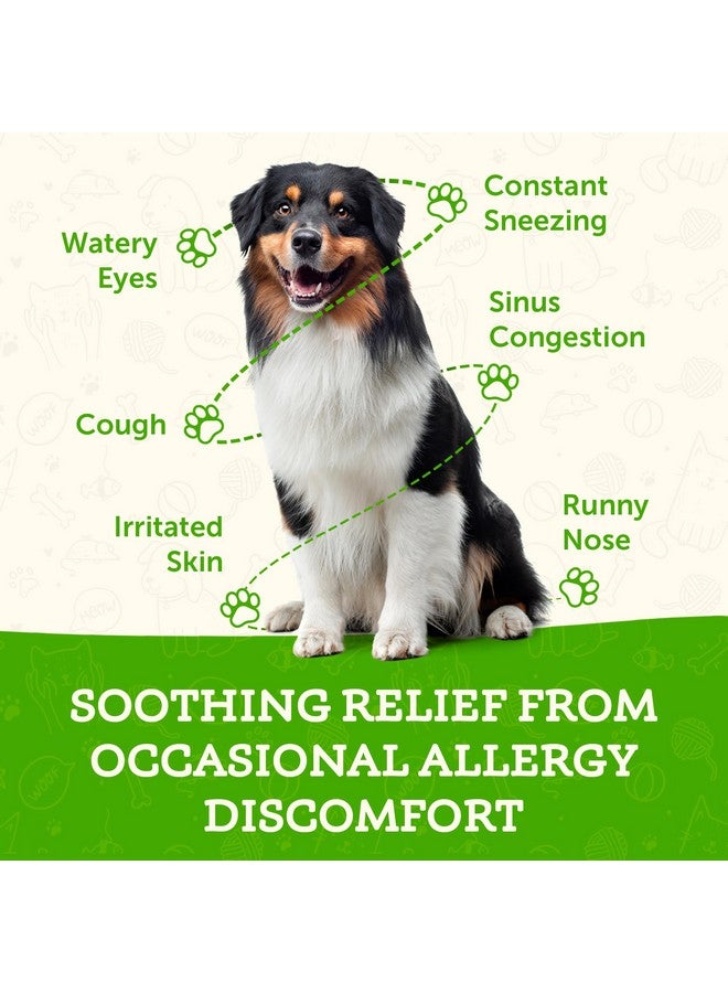 Animal Essentials Seasonal Allergy- Herbal Formula for Dogs & Cats for Occasional Allergy Relief, Sweet Taste, 100% Organic Human Grade Herbs, Veterinarian Recommended Animal Wellness Tonics - 1 Fl Oz - Image 3