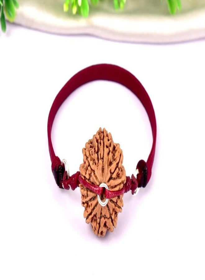 IRIS GEMS 12 Face Rudraksha Original Certified 12 Mukhi Rudraksha Nepal Natural Twelve Faced बारह मुखी नेपाली Bara Mukhi Rudraksha 12 मुखी रुद्राक्ष Barah Mukhi Rudraksha by IRIS GEMS - Image 5