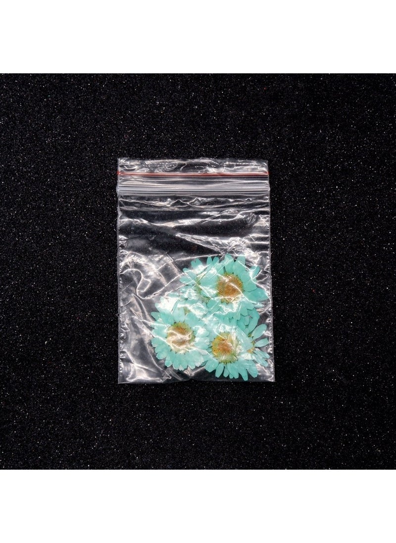 Hobizubi Dried Daisy Turquoise Blue 10 Pack  - Image 1