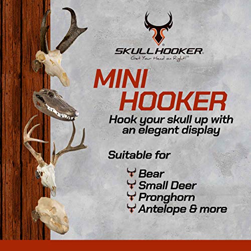 Skull Hooker Mini Hooker Skull Hanger - Perfect Kit for Hanging and Mounting Taxidermy Bear, Small Deer, Pronghorn, and Other Smaller Skulls for Display, Graphite Black - Image 4