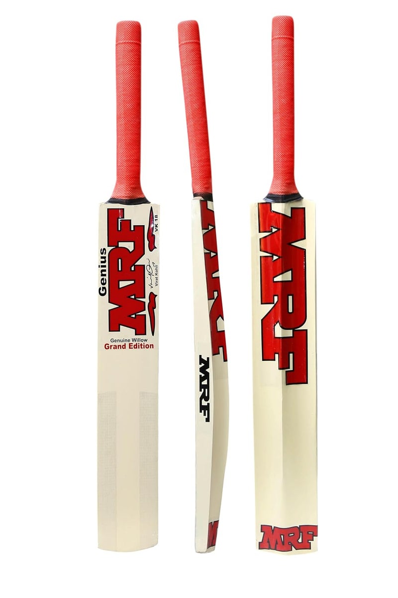 AEM مضرب كريكيت شعبي من الصفصاف مع غلاف مضرب للرجال والبالغين لجميع كرات التنس (طبيعي، الحجم -5) - Image 2