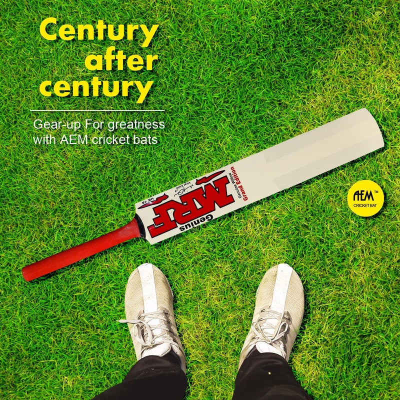 AEM مضرب كريكيت شعبي من الصفصاف مع غلاف مضرب للرجال والبالغين لجميع كرات التنس (طبيعي، الحجم -5) - Image 3