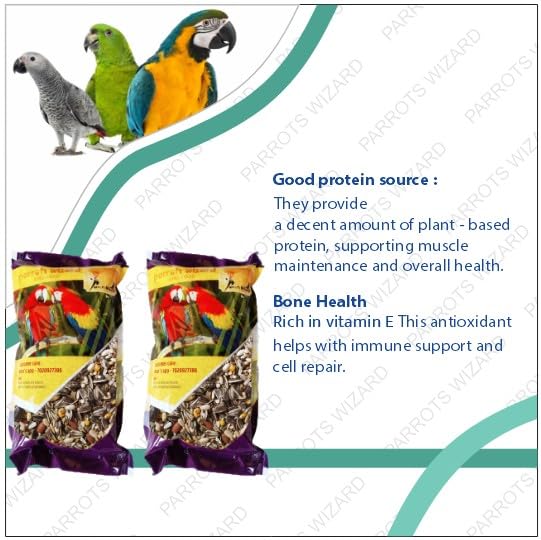 Parrots Wizard Big Parrot Food Pro Seed Mix - 31 Types of Seeds for African Grey, Macaw, Cockatoo, Indian Parrot & Large Birds – 450g (Pack of 2) - Image 2