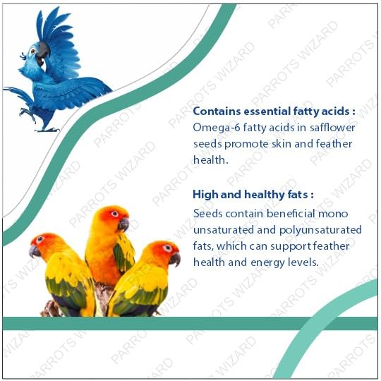 Parrots Wizard Big Parrot Food Pro Seed Mix - 31 Types of Seeds for African Grey, Macaw, Cockatoo, Indian Parrot & Large Birds – 450g (Pack of 2) - Image 4