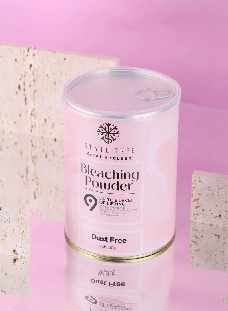 Style Tree Dust free Bleaching Powder  500g