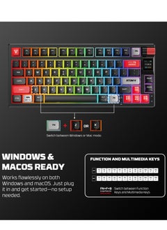 FANTECH Wireless Mechanical Gaming Keyboard Red Switch 79 Keys - Triple Mode (BT/2.4GHz/USB-C),  RGB 20 Effects Backlit Membrane Gaming Keyboard, 450H Battery, 4000mAh - for PC/Mac, Gaming & Office  - Image 3