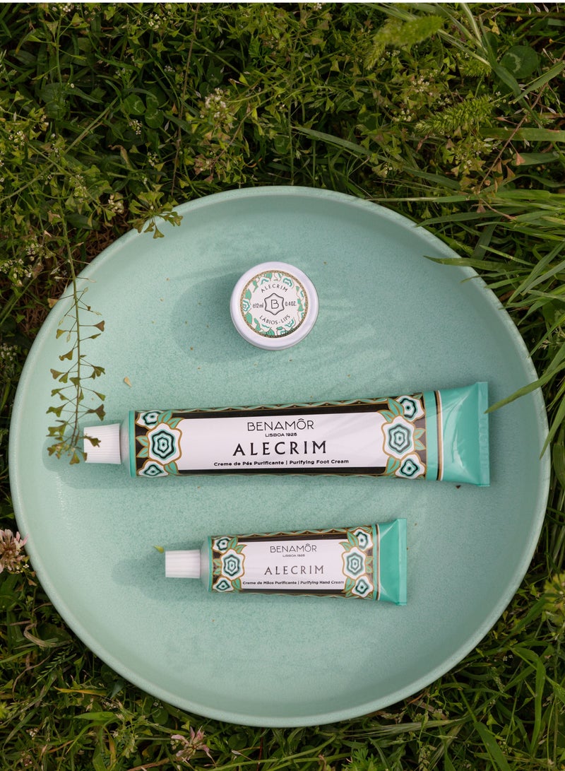 BENAMÕR Alecrim Foot Cream – Cracked Heel Repair, Rosemary & Eucalyptus Hydrating Foot Moisturizer for Dry, Rough & Callused Feet – Softening & Nourishing Care, 90ml - Image 2