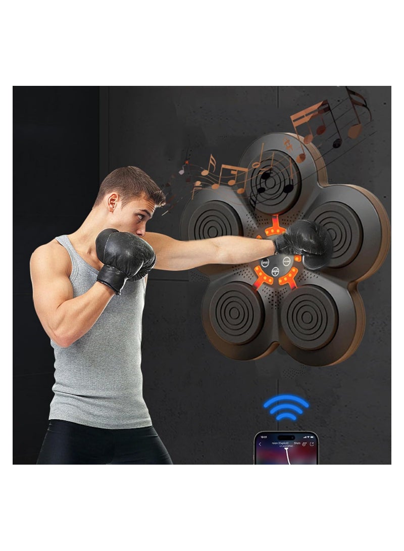 SOLARAE Boxing Traing Machine, Music Boxing Training Machine, Smart Music Wall Mounted Punching Sports Equipment, Rechargeable LED Light, Hand/Eye/Speed Reaction for Kids/Adults/Home Workout/Stress Relief - Image 2