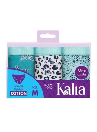 Pack of 3 Cotton Brief Max Panties With Padded Towel for Women - pzsku/Z0BB1ED338A68E8E40317Z/45/_/1736553634/6eac246d-1808-4a91-a129-e07baa360b77