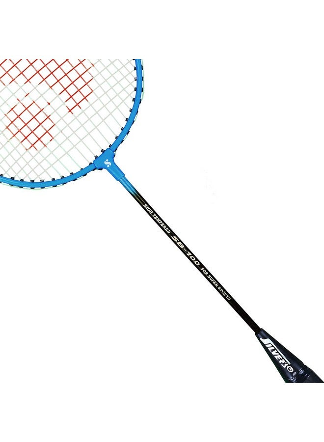 Silvers مجموعة سيلفر SB-100 كومبو-2 (2 مضارب/بادمنتون مع غطاء كامل + 2 قطعة شوتل بلاستيكية) أخضر-أزرق، فولاذي - Image 4