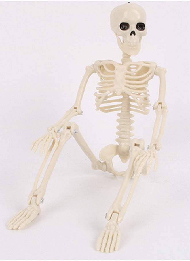 VUCATIN Skull Decor 40cm Skull Festival Decorations Bride and Groom Realistic Full Body Posable Joints Skull for Party Indoor Outdoor Decor Haunted House Props  - Image 5