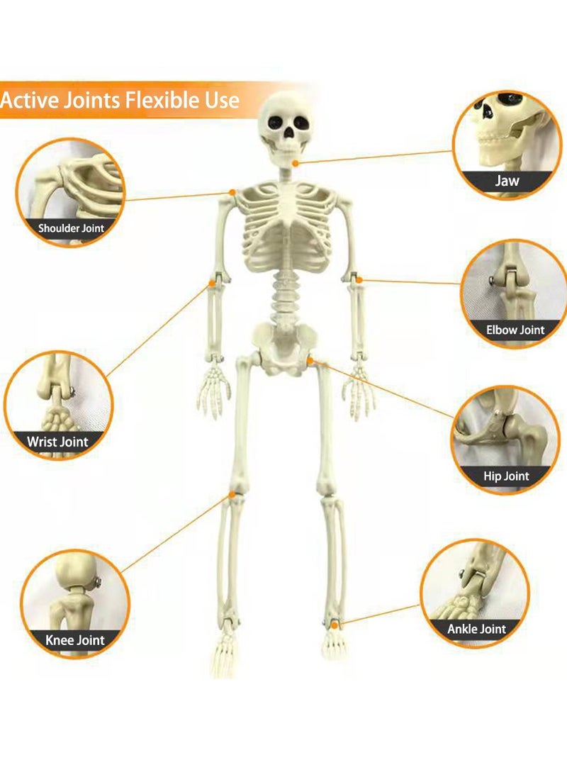 VUCATIN Skull Decor 40cm Skull Festival Decorations Bride and Groom Realistic Full Body Posable Joints Skull for Party Indoor Outdoor Decor Haunted House Props  - Image 3