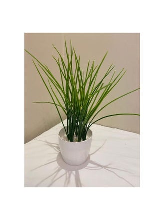 نبات صناعي - pzsku/Z0BB26725DF337C59F4B7Z/45/_/1737900560/7c9a6ab3-7ba7-462c-b1aa-2fb8bbfdb164