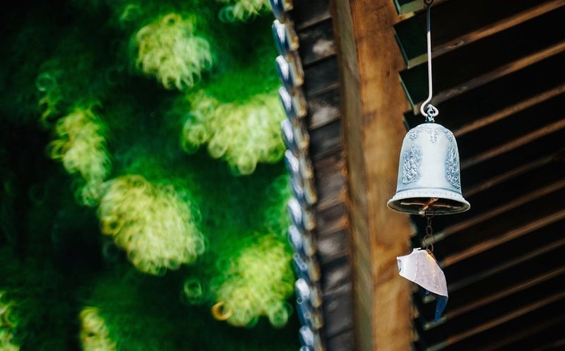 Rokinon 300M-FX-BK 300mm F6.3 Mirror Lens for Fuji X Mirrorless Interchangeable Lens Cameras , Black - Image 5