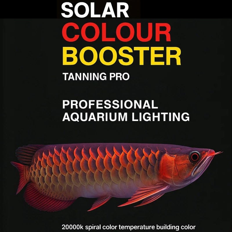 VAYINATO Solar Colour Booster Aquarium LED Light – Tanning Pro Fish Color Enhancing Lamp | Professional Aquarium Lighting for Arowana, Channas, Cichlids, Flowerhorn (L-100 (Suitable for 100 Cm Tank)) - Image 3