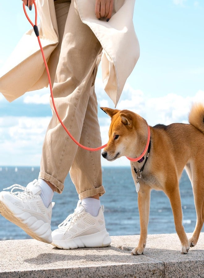 EupHHonycs 6pcs Slip Leads Dog Leash Heavy Duty Rope Leash for Small Medium Dogs, 5FT Classic Dog Leash Strong Nylon Dog Training Leash Strong Comfortable Loop Leash (6 Colors, 3/8") - Image 4