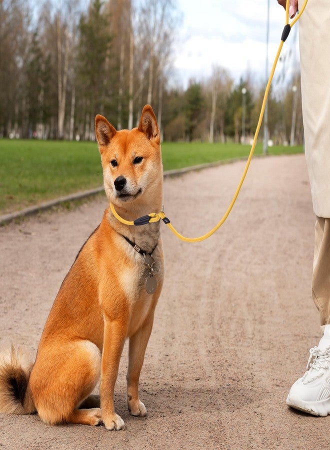 EupHHonycs 6pcs Slip Leads Dog Leash Heavy Duty Rope Leash for Small Medium Dogs, 5FT Classic Dog Leash Strong Nylon Dog Training Leash Strong Comfortable Loop Leash (6 Colors, 3/8") - Image 5