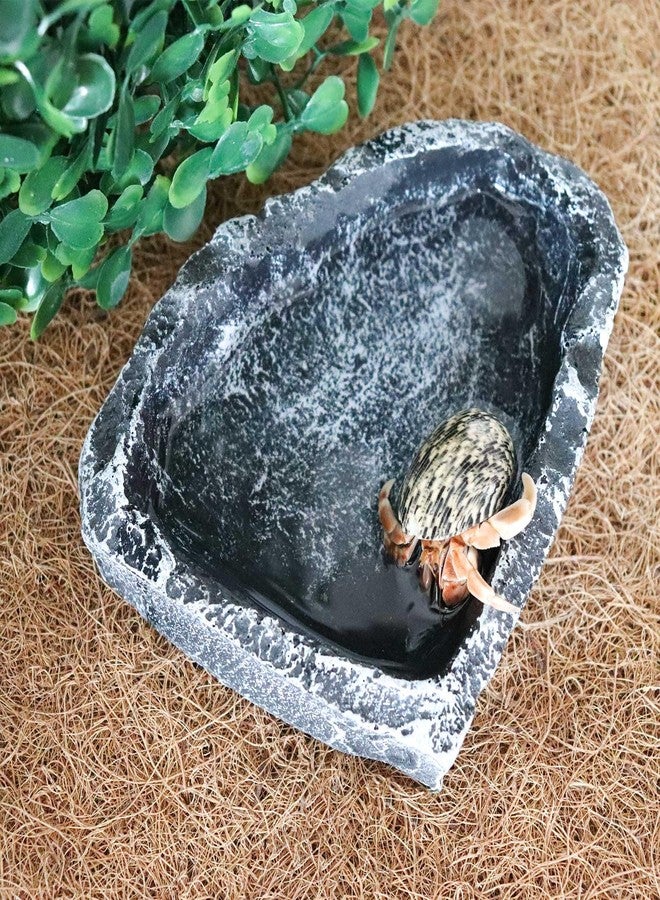 Neeenn 3 Pack Reptile Food Dish, Resin Hermit Crab Food & Water Bowl, Reptile Feeding Food Dish Kit, Tank or Aquarium Accessory, Suitable for Turtle Lizard Hermit Crab Snail Bearded Dragon Leopard Gecko - Image 2