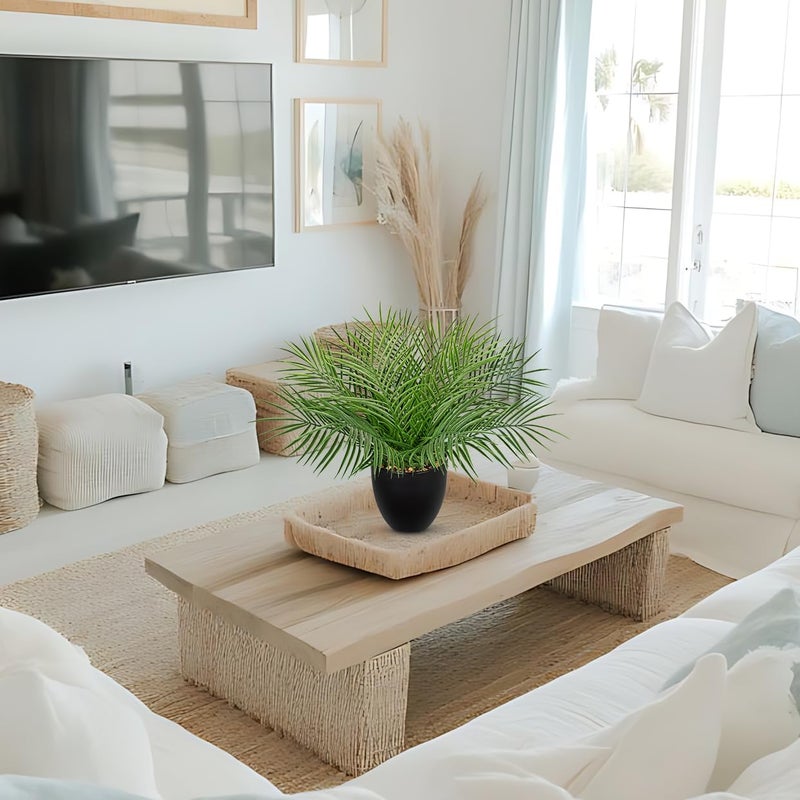 Briful Artificial Palm Plant in Black Pot, 18” Faux Tropical Tabletop Plant with 14 Realistic Leaves, Small Potted Palm Tree for Farmhouse, Coffee Table, Entryway, Bathroom, Shelf & Living Room Decor - Image 2
