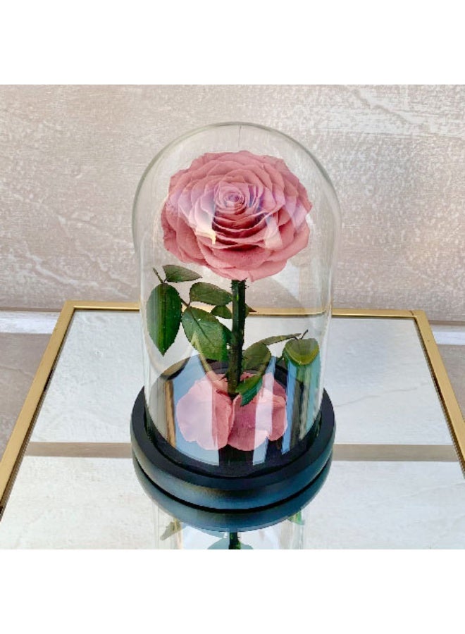 Caramel Forever Roses Glass Dome Premium Quality Gift Box