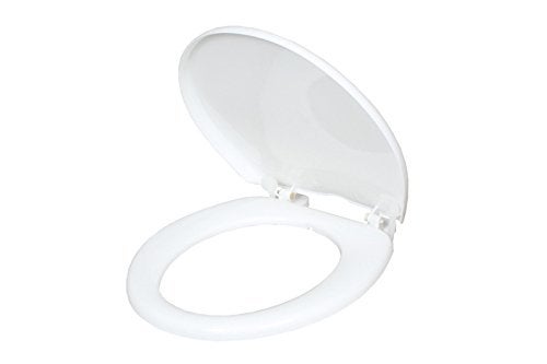 SHRUTI European Easy Move Wall Hung Toilet commode Seat Cover Toilet Seat cover White Free SHRUTI Brass Health faucet With 2 Mtr Flexible Full CP Tube And Abs Chrome Plate Stand 2278White 11721167 - Image 5