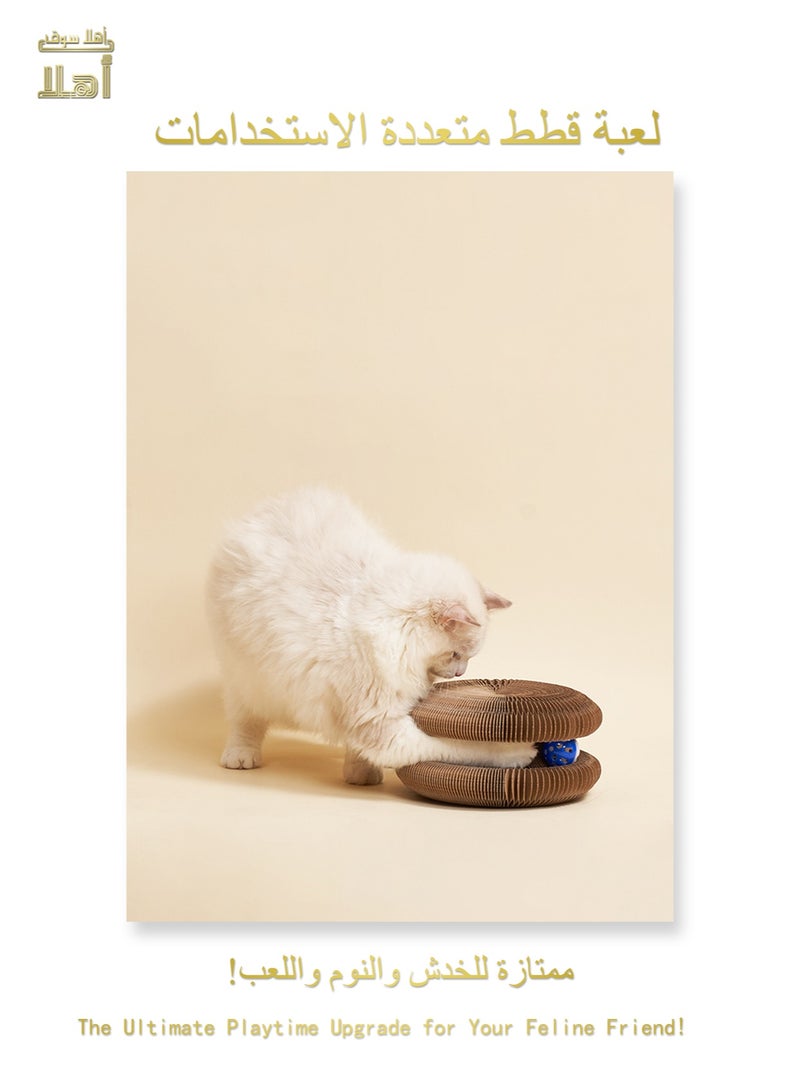 Multi-Functional Cat Toy – Scratch Pad & Bed in One - Image 1